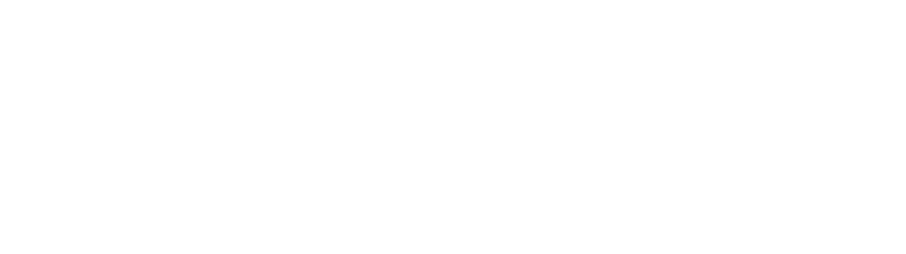 Inzavy Logo